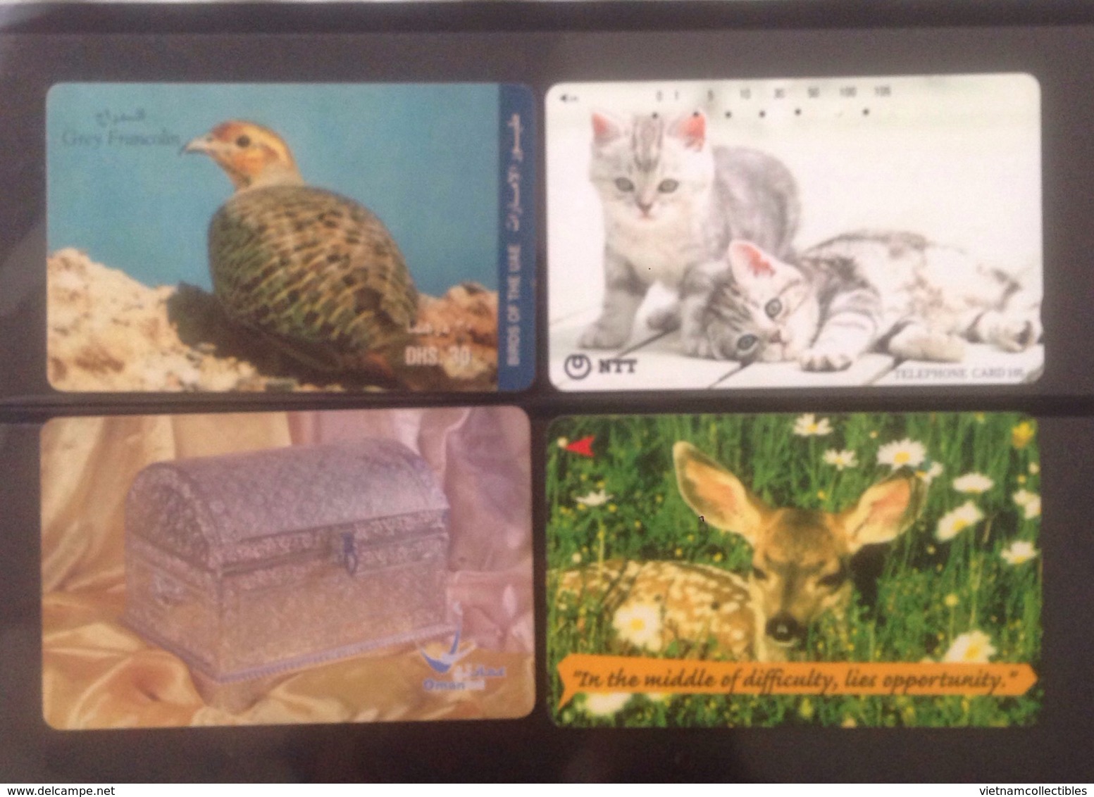 Lot Of 4 Used Phonecard Card Cards Regarding Bird / Cat/ 02 Photo With Backside - Altri - Asia