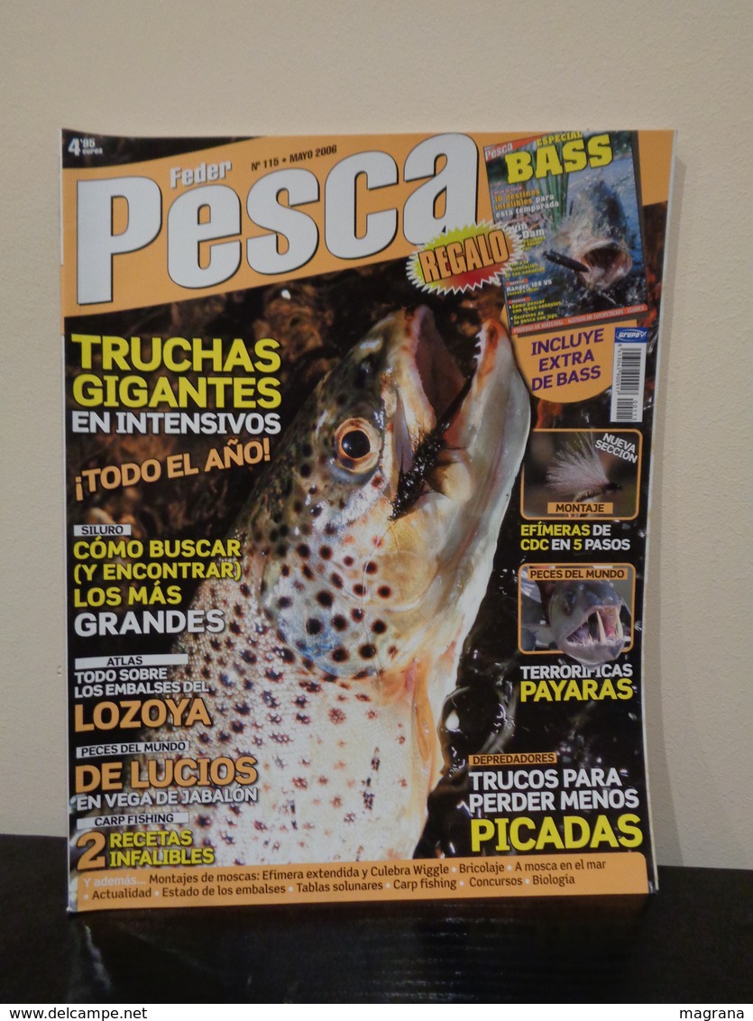 Grupo de 5 Trofeos de pesca y- Colección de 30 revistas Feder Pesca España 2004-2007.