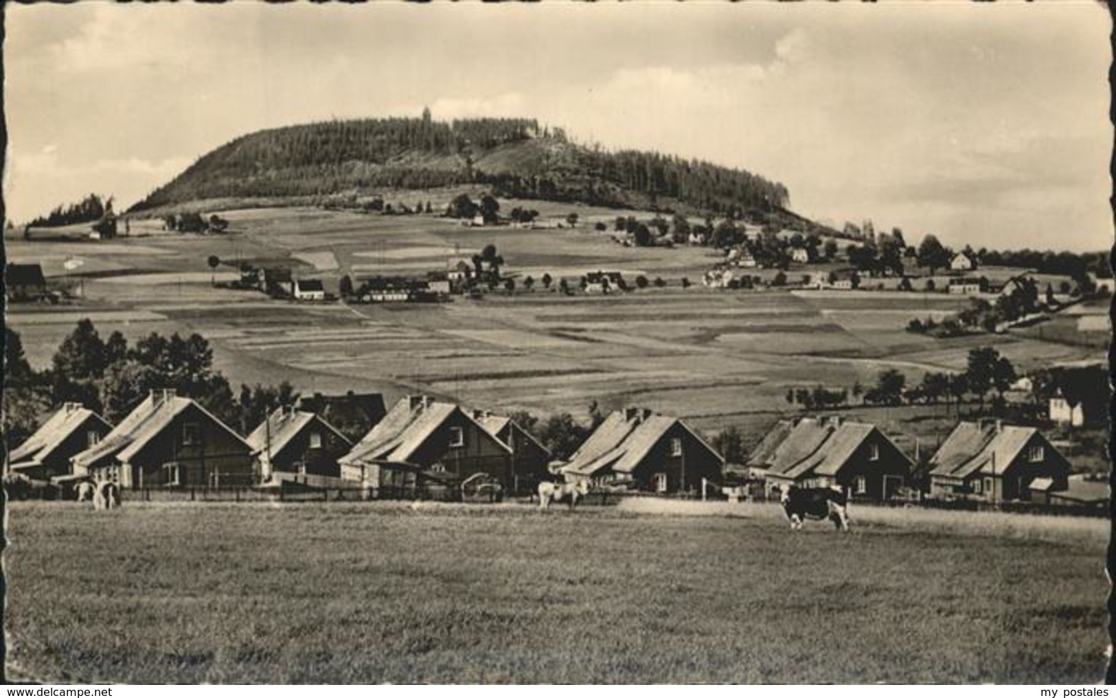 41258901 Baerenstein Annaberg-Buchholz Berg Baerenstein - Baerenstein