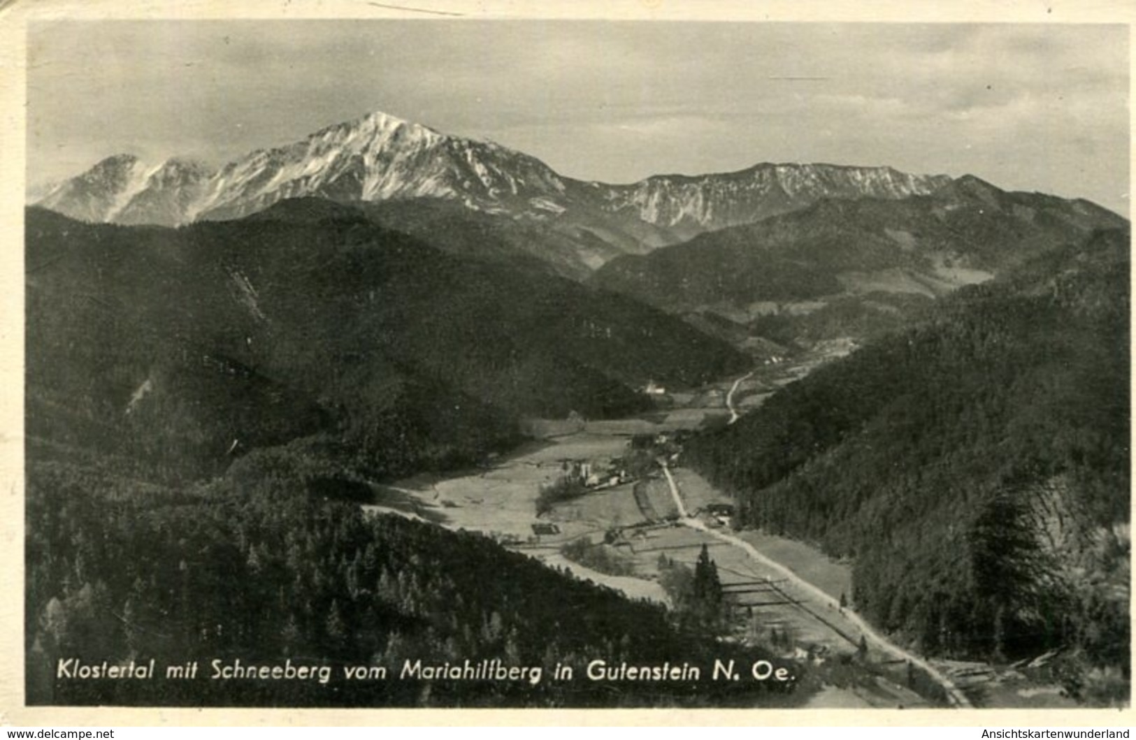 003601 Klostertal Mit Schneeberg Vom Mariahilfberg In Gutenstein - Gutenstein