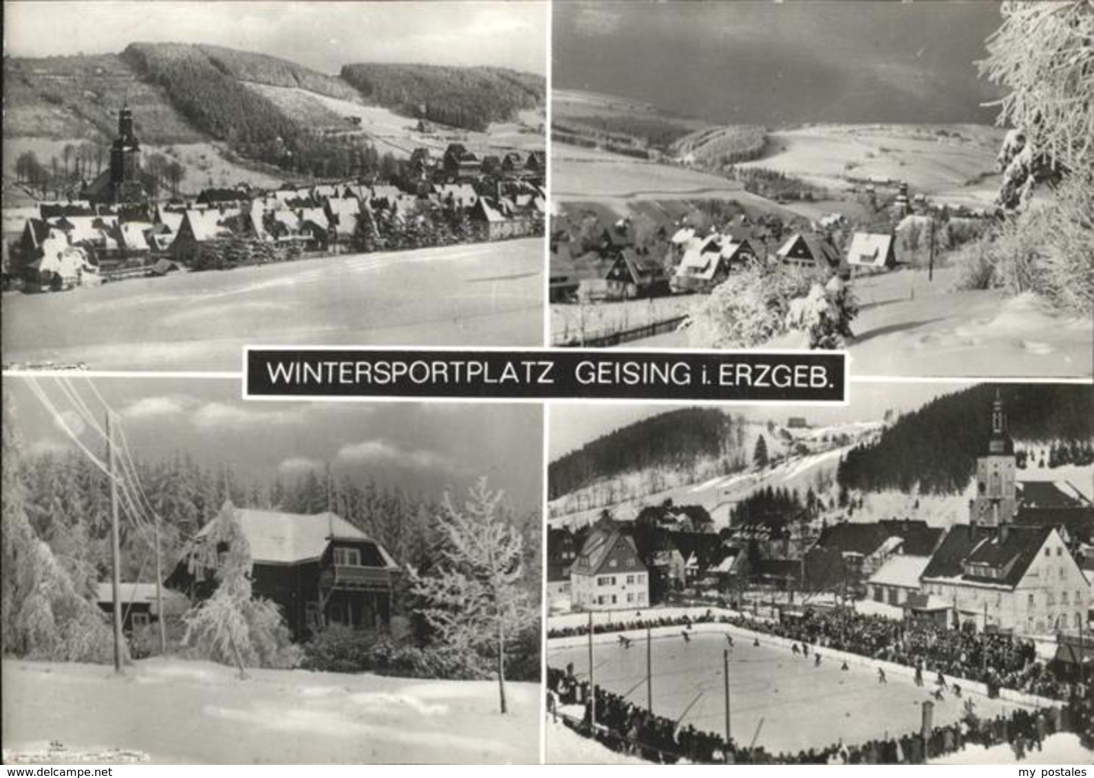 41236975 Geising Erzgebirge Eisbahn Geising - Geising