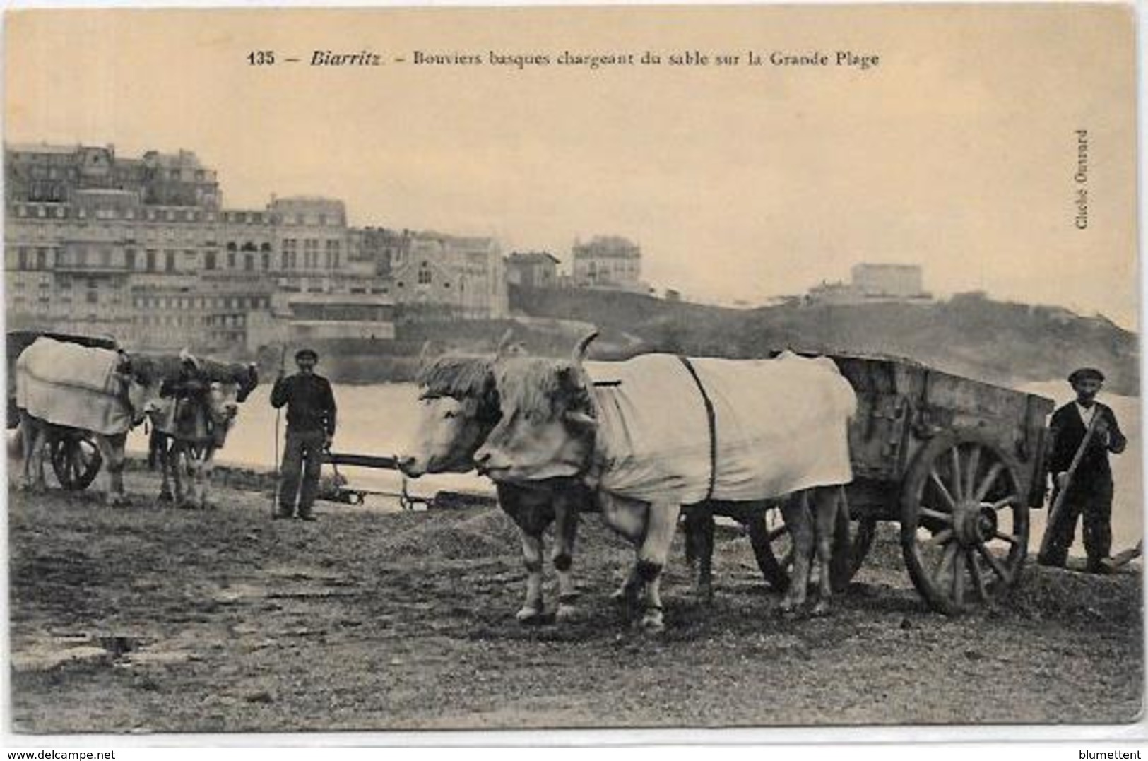 Cpa Région Pyrénées  Attelage Métier Non Circulé  Biarritz - Midi-Pyrénées