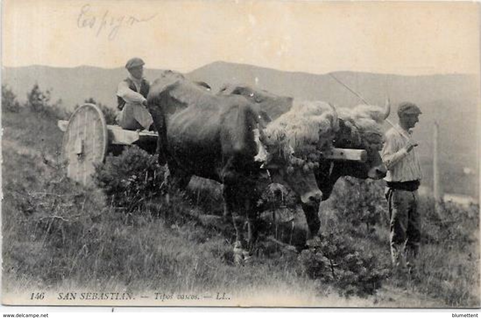 Cpa Région Pyrénées  Attelage Métier Non Circulé Attelage Basque à San Sébastian Espagne Spain - Midi-Pyrénées