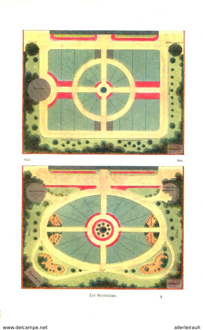 Der Ziergarten Am Hause/ Artikel, Entnommen Aus Kalender / 1907 - Colis