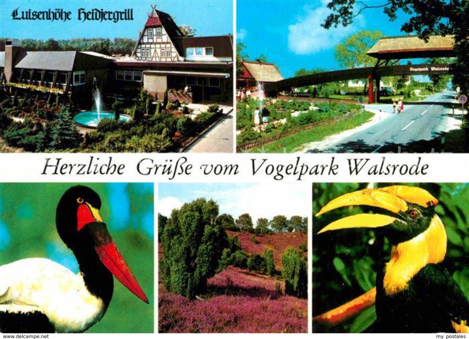 72852949 Walsrode Lueneburger Heide Luisenhoehe Heidjergrill Vogelpark Walsrode - Walsrode