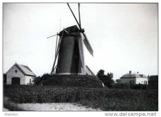 RENKUM (Gelderland) - Molen/moulin - Gewezen Bergmolen De Hoop. Zeer Oude Opname (ca. 1900). TOP !! - Renkum