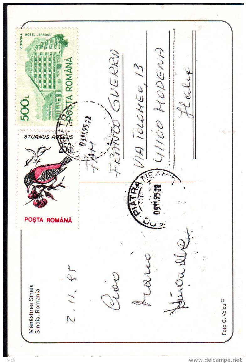 Sturnus Roseus Uccello + Edificio, Val. 250 + 500 -- 2 Francobolli Romania Anni '90 Su Cartolina - Covers & Documents