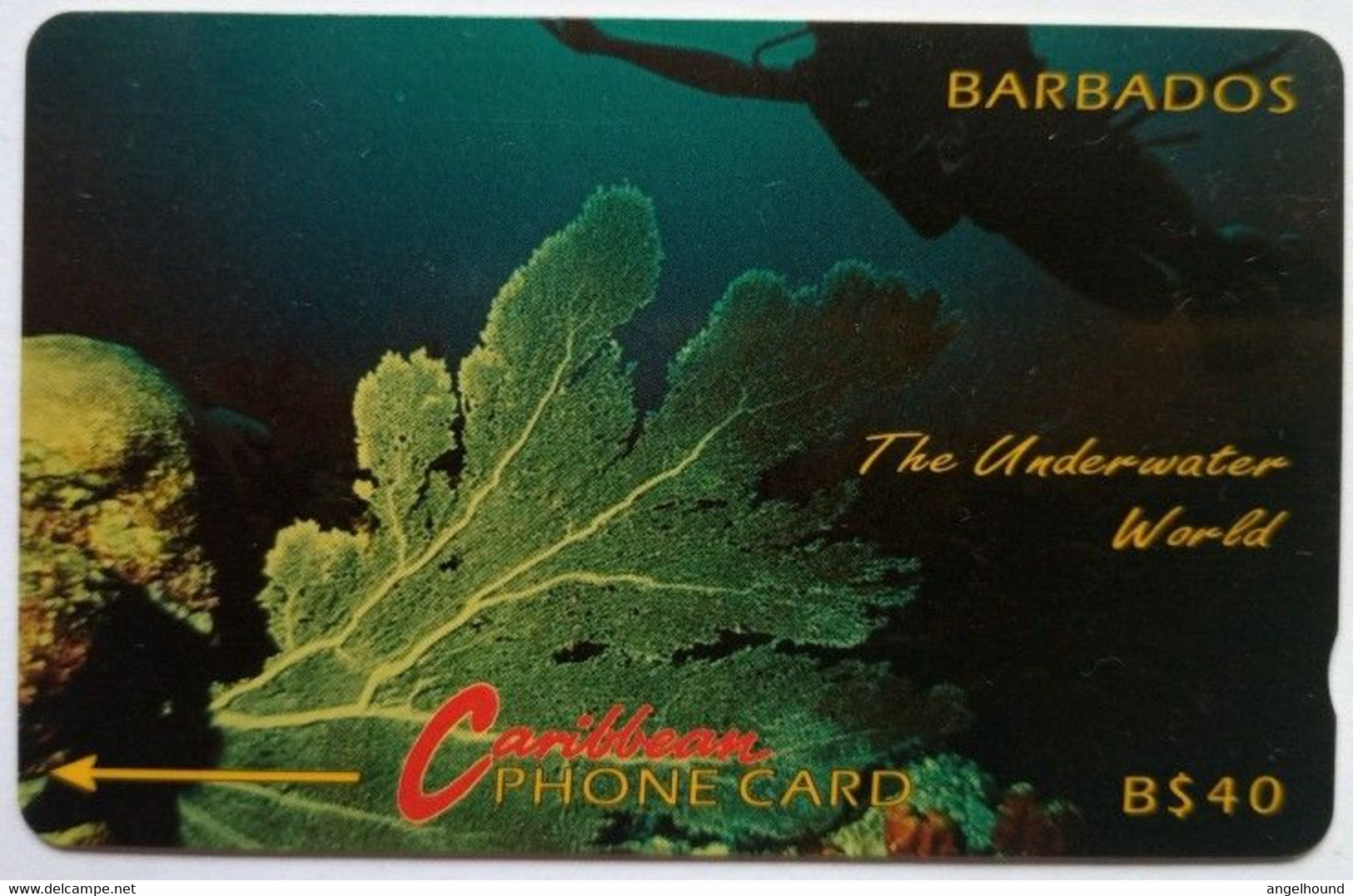 Barbados 5CBDC B$40 " Underwater (without Logo)" - Barbades