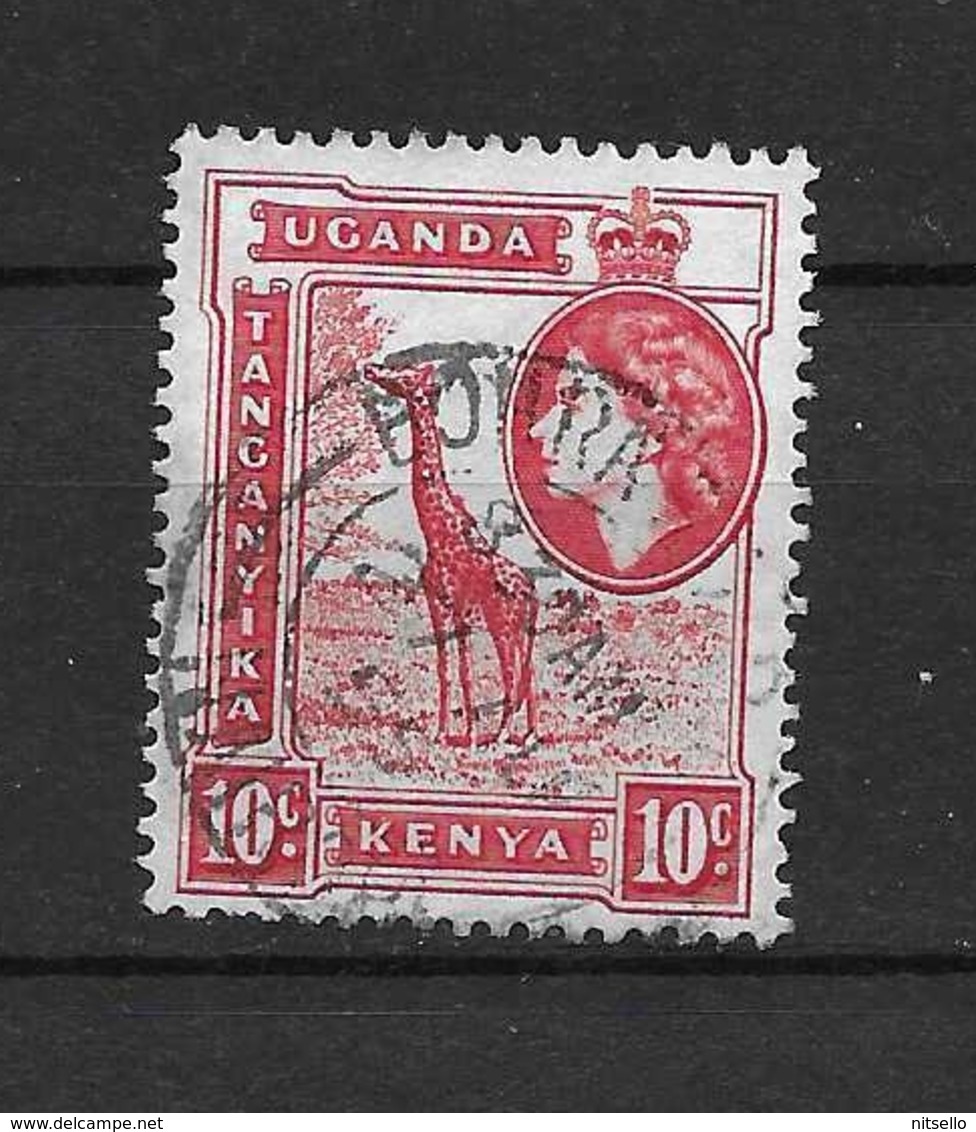 LOTE 2217  ///  COLONIAS INGLESAS    ¡¡¡¡ LIQUIDATION !!!! - Kenya, Ouganda & Tanganyika