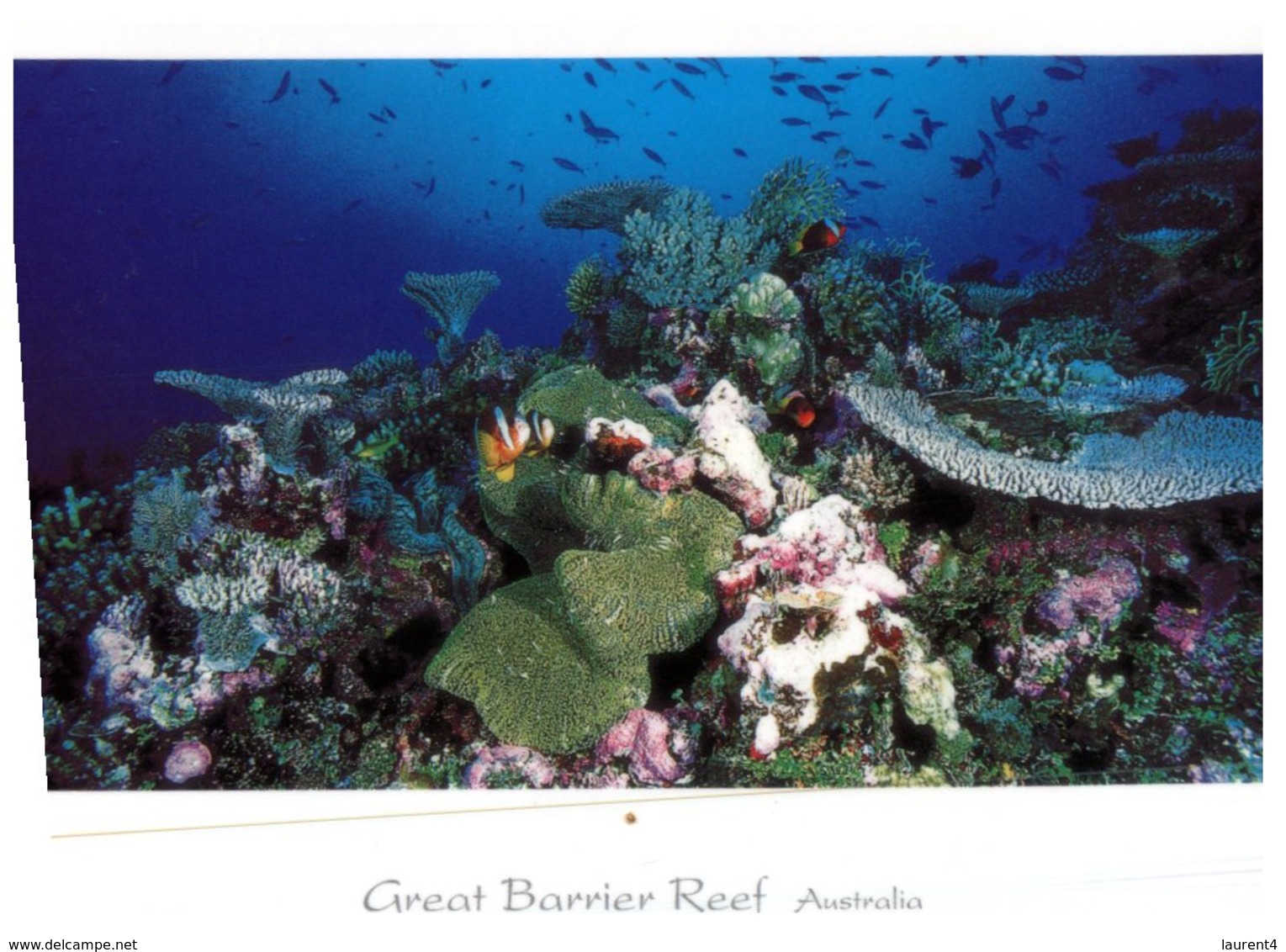 (135) Australia - QLD - Great Barrier Reef (with Olympic Stamp At Back Of Card) - Great Barrier Reef