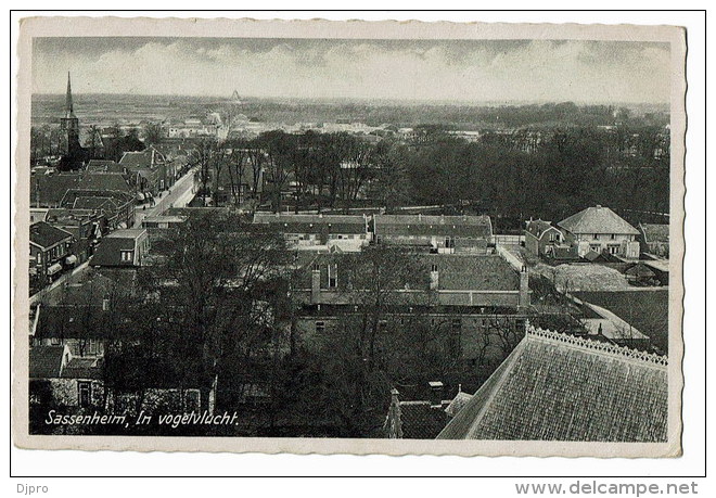 Sassenheim  In Vogelvvlucht - Sassenheim