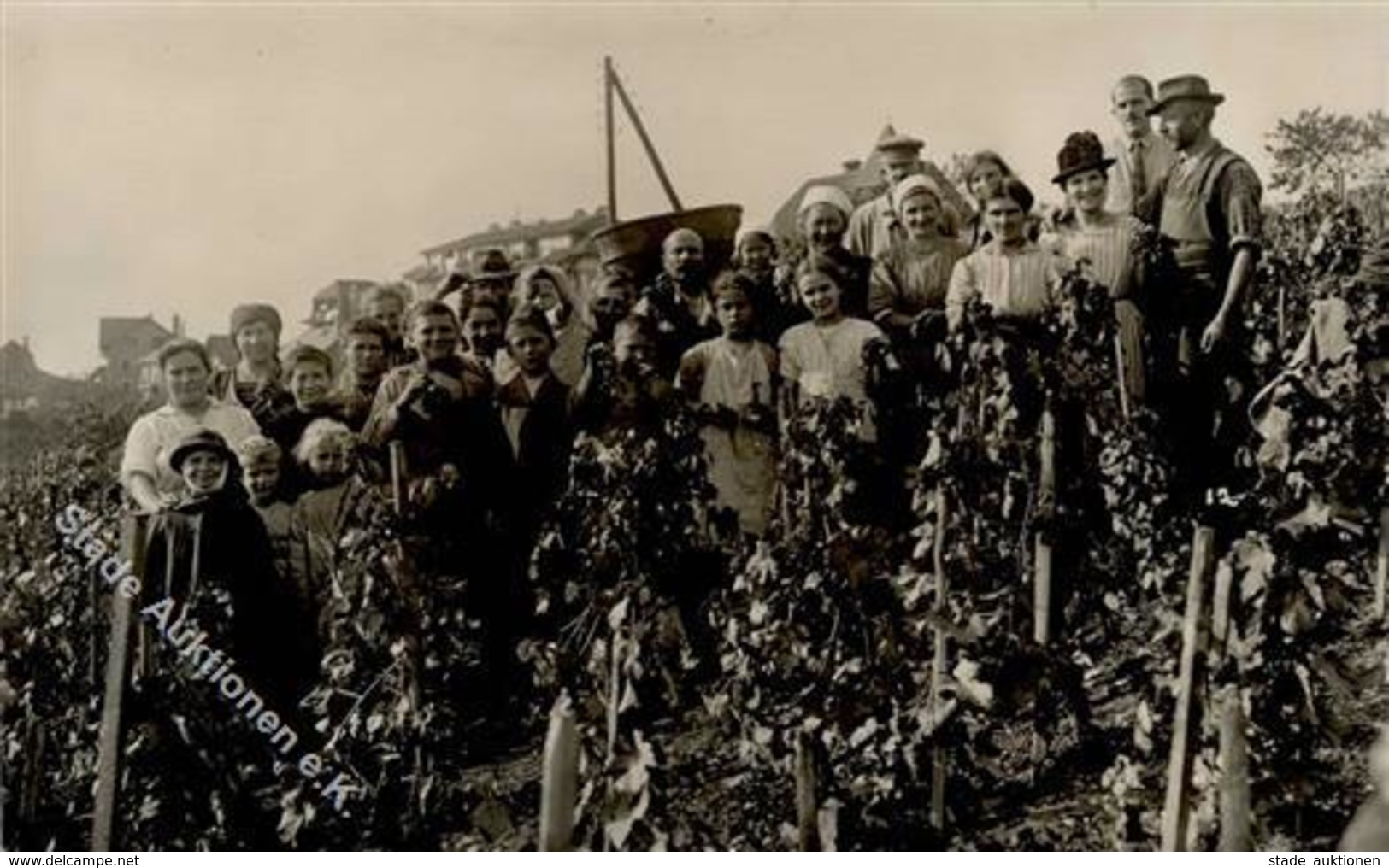 Wein Weinlese I-II Vigne - Exhibitions