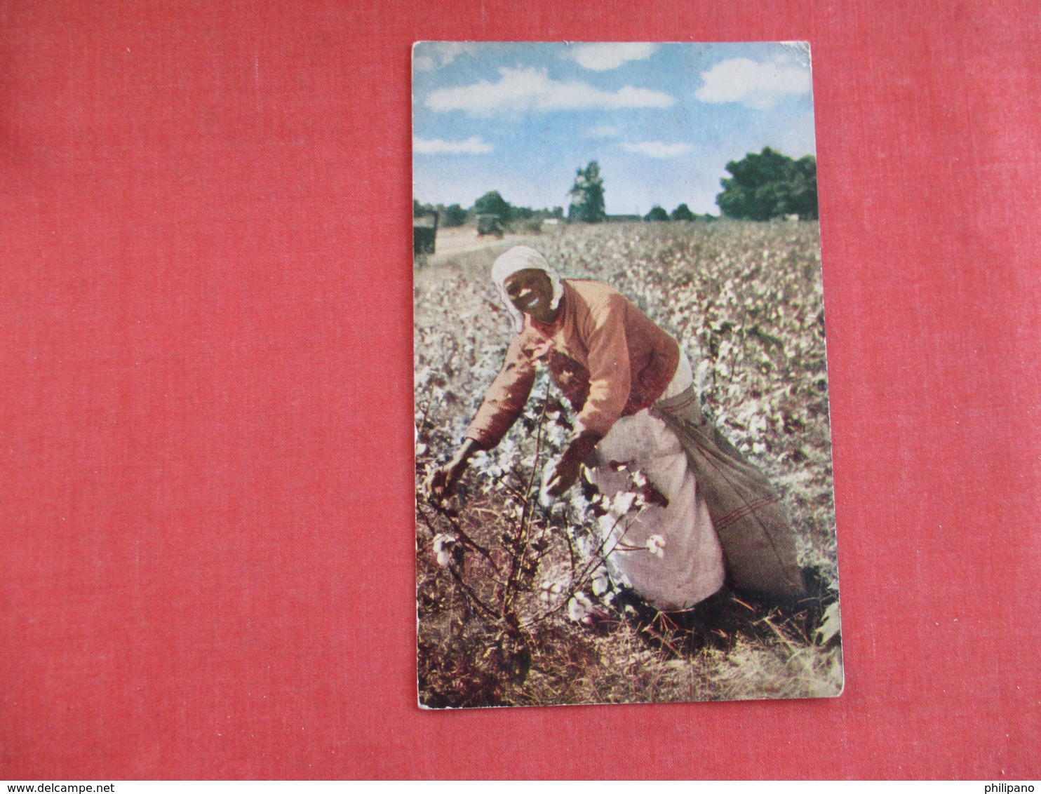 Black Americana -- Mammy In The Cotton Patch ===== Ref 2951 - Black Americana