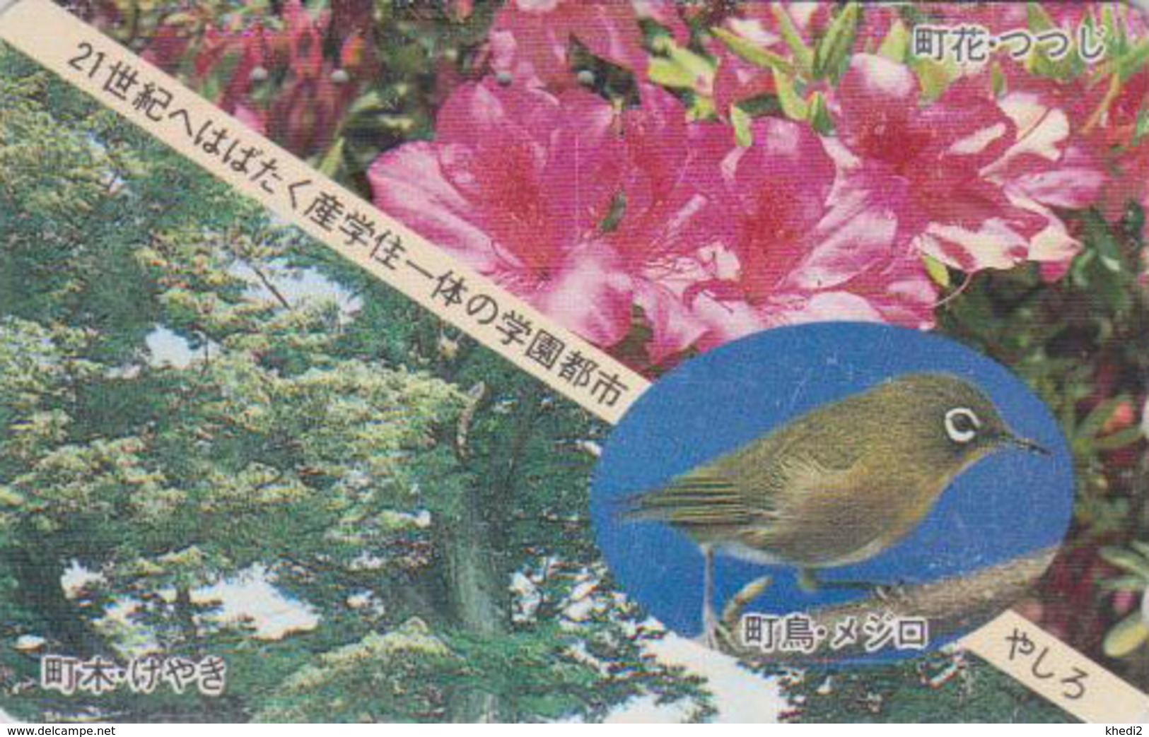 RARE Télécarte Japon / 110-011 - Animal - OISEAU - FAUVETTE & Fleur - ZOSTEROPS BIRD & Flower Japan Phonecard - 4446 - Passereaux