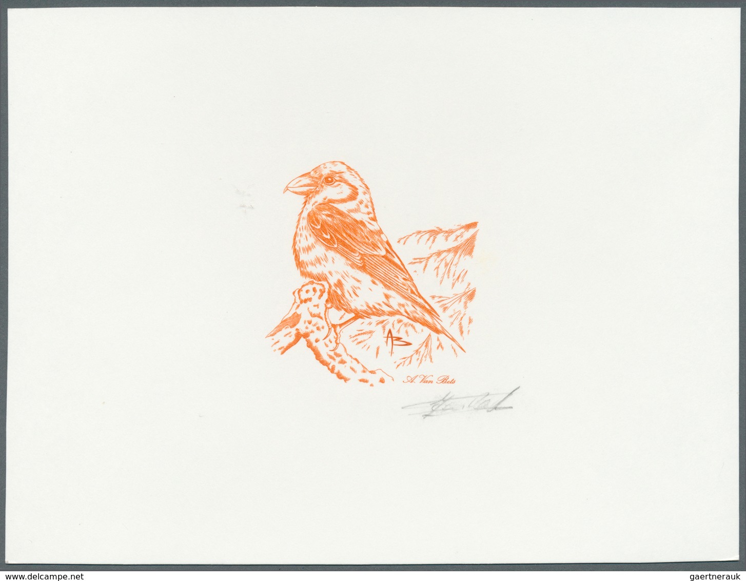 11192A Thematik: Tiere-Vögel / Animals-birds: 2000, Belgium. Epreuve D'artiste Signée In Brown-orange For T - Sonstige & Ohne Zuordnung