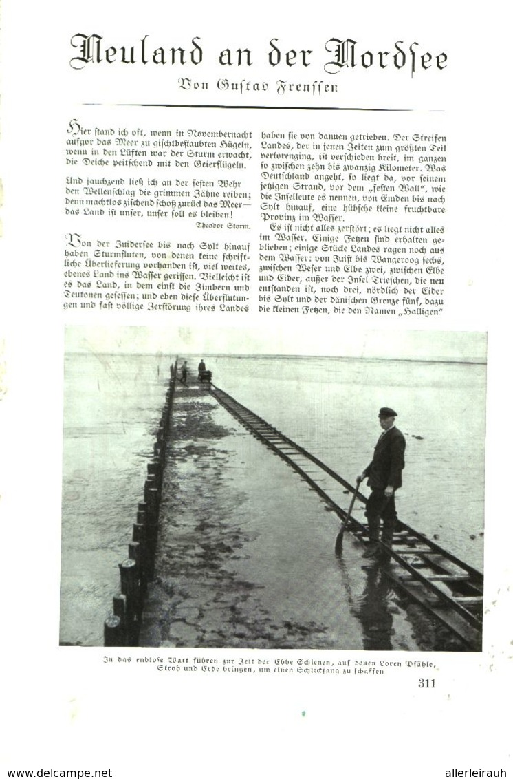Neuland An Der Nordsee (von Gustav Frenssen)  /Artikel, Entnommen Aus Zeitschrift /1935 - Colis