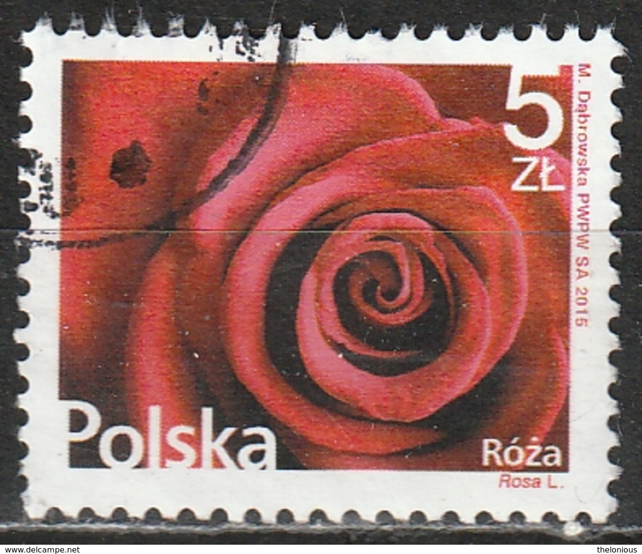 # Polonia 2015 - Rose (Rosa L.) - Fiori | Piante (Flora) | Rose - Oblitérés