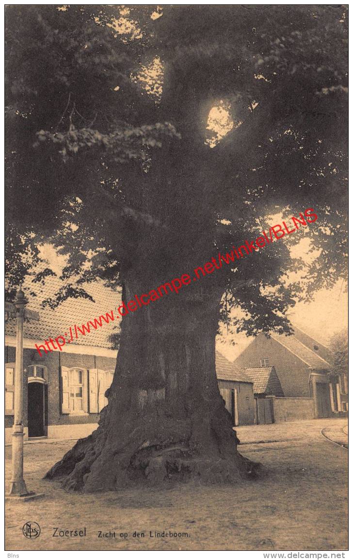 Zicht Op Den Lindeboom - Zoersel - Zoersel