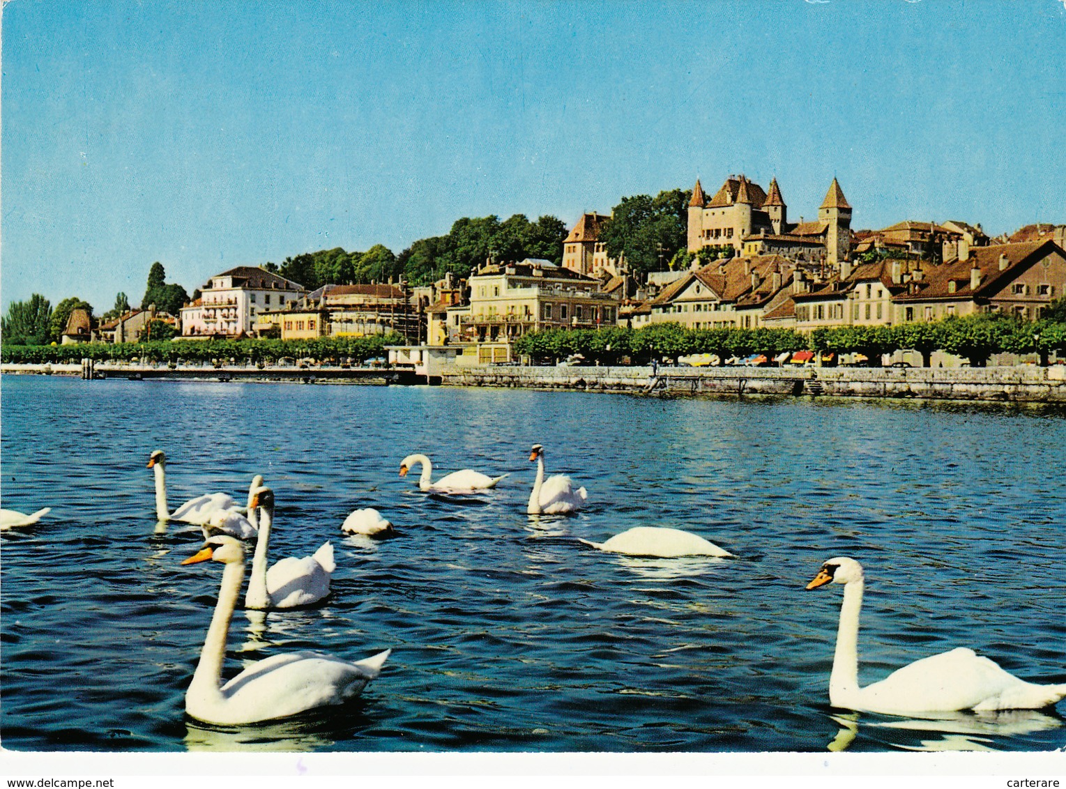 SUISSE,HELVETIA,SWISS,switzerland,schweiz,SVIZZERA ,vaud,NYON,lac,cygne - Nyon