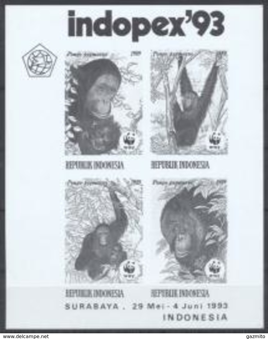 Indonesia 1993, WWF, Orang Utan, Indopex93, Black And White BF - Gorilas