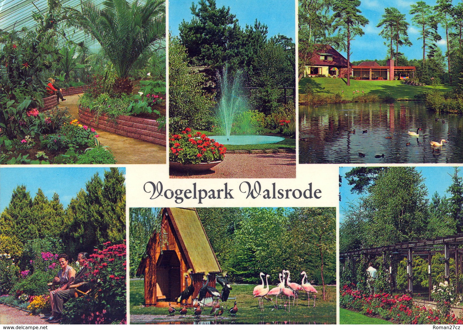 Vogelpark Walsrode (Bird Park), Germany - Flamingo, Crane, Swan, Fountain, Plant, Aviaries - Walsrode