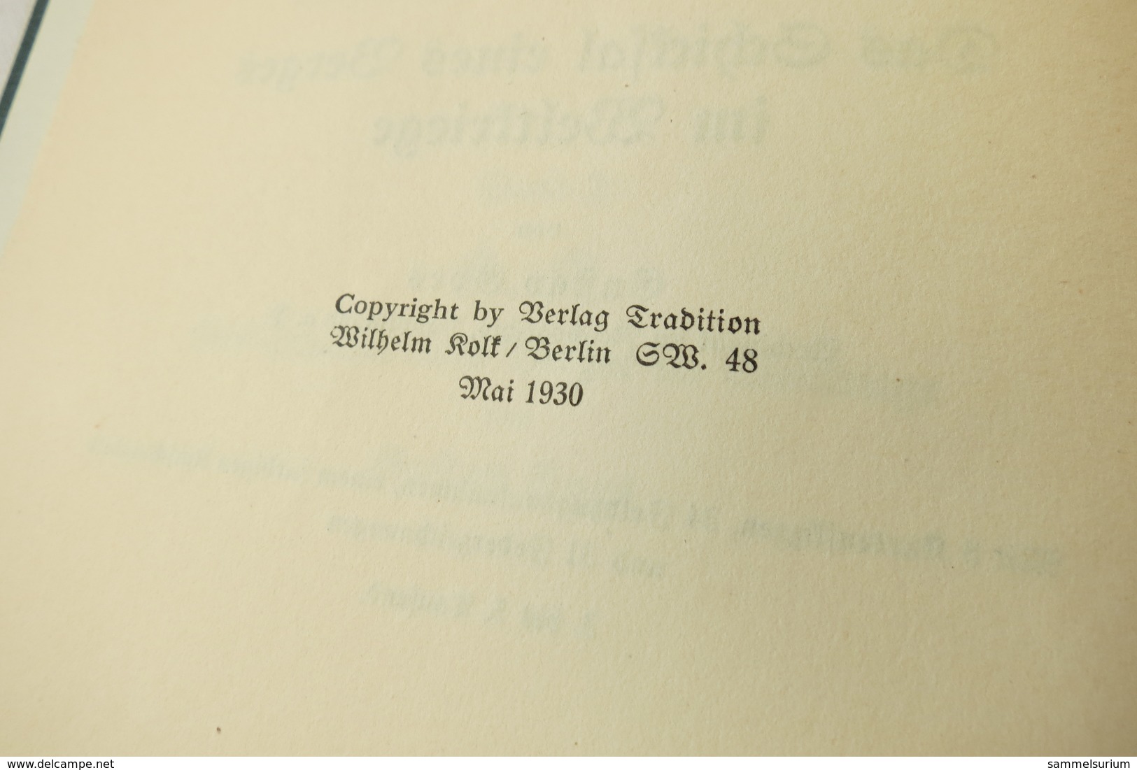 Gustav Goes "Das Schicksal Eines Berges Im Weltkriege", Band 2 Aus Der Reihe "Unter Dem Stahlhelm" Von 1930 - Militär & Polizei