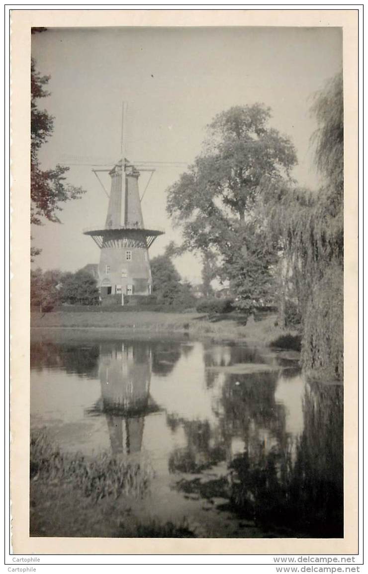 Pays-Bas - Leiden - Molen - Photo - Leiden