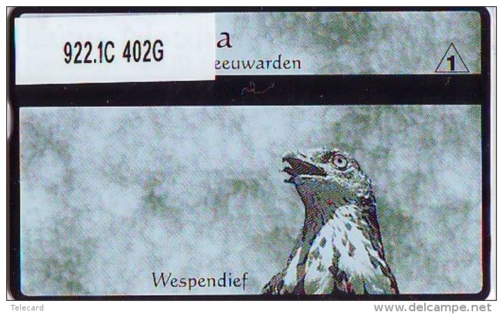 Telefoonkaart  LANDIS&amp;GYR  NED * RCZ 922.1c  402G * LACUS NATURA WESPENDIEF * VOGEL  BIRD OISEAU  TK * ONGEBRUIKT *  - Aigles & Rapaces Diurnes