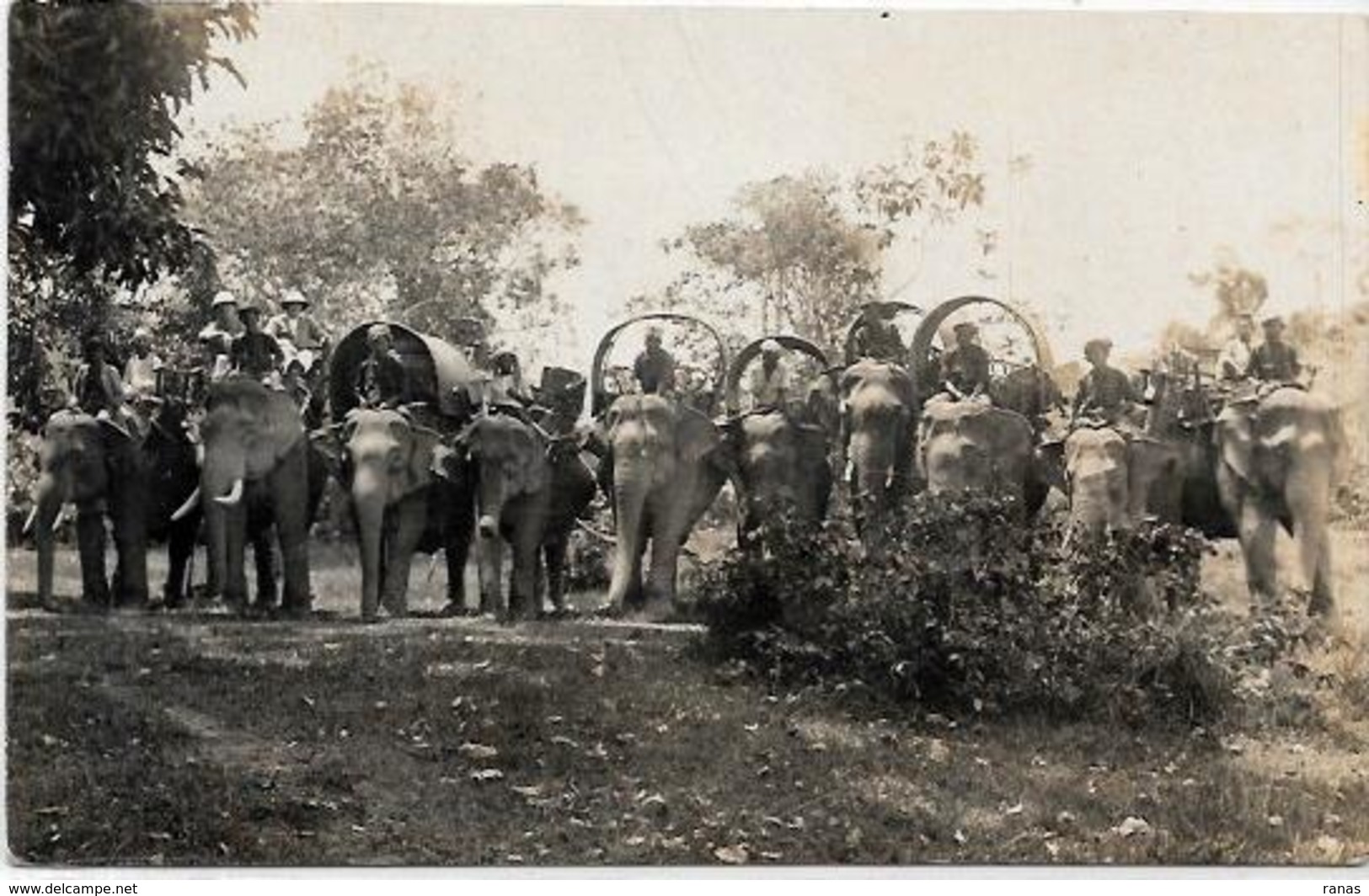 CP éléphant ELEPHANT Non Circulé Carte Photo RPPC Inde India ? - Elefanten