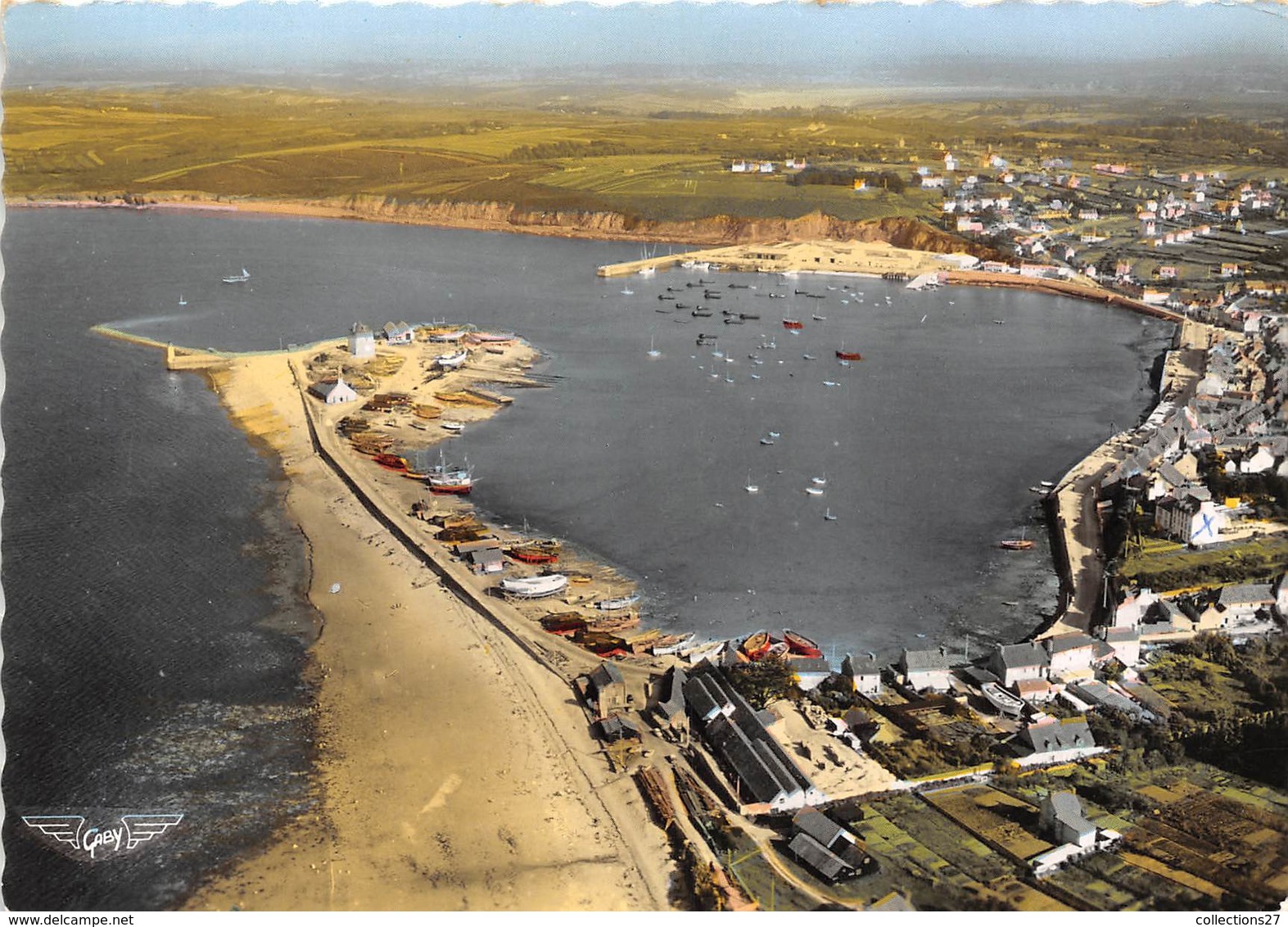 29-CAMARET-SUR-MER- VUE D'ENSEMBLE DU PORT - Camaret-sur-Mer