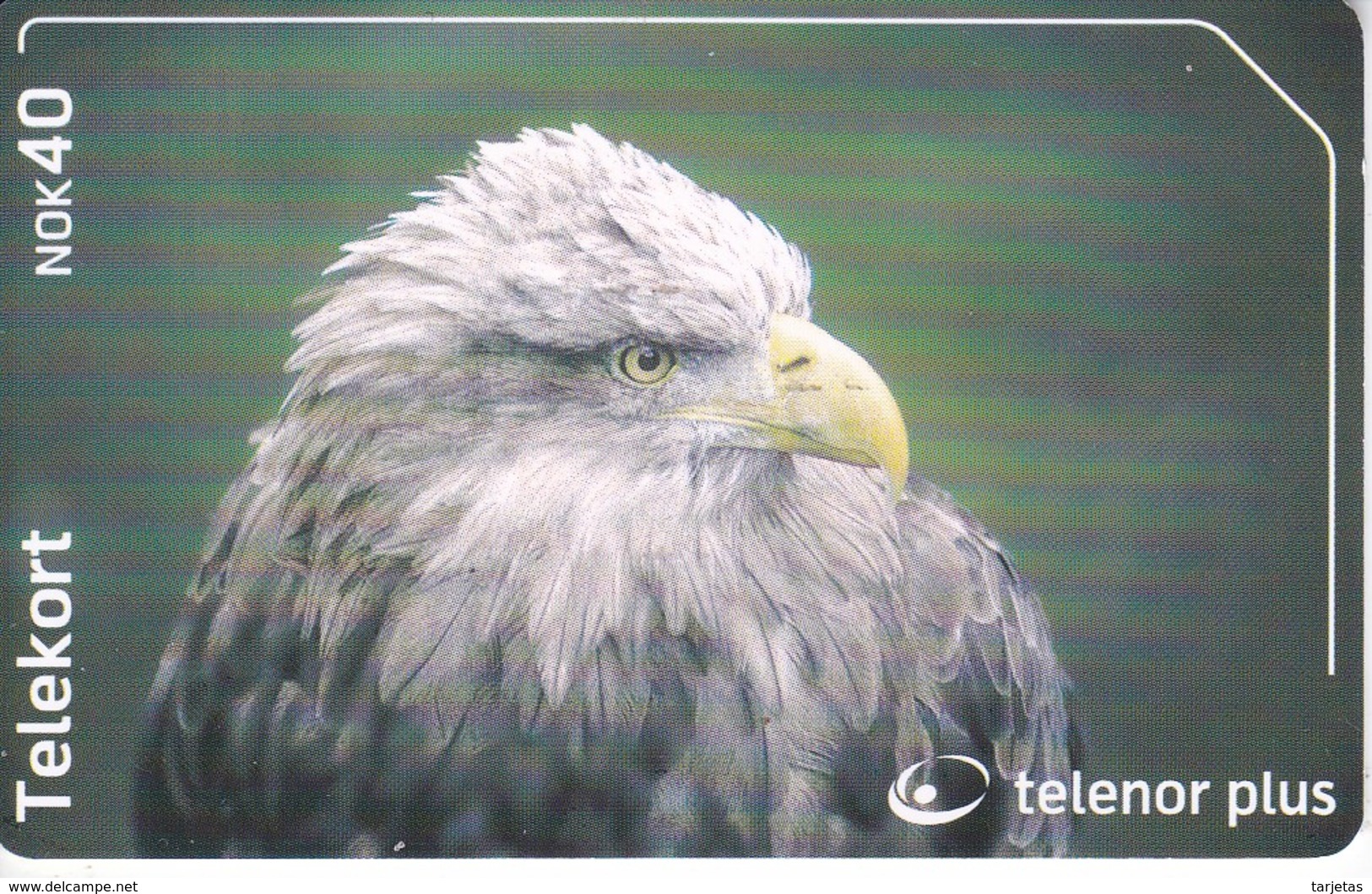 TARJETA DE NORUEGA DE UN AGUILA (EAGLE) - Aigles & Rapaces Diurnes