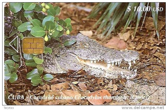 098 TARJETA DE CUBA DE UN COCODRILO - Krokodile Und Alligatoren