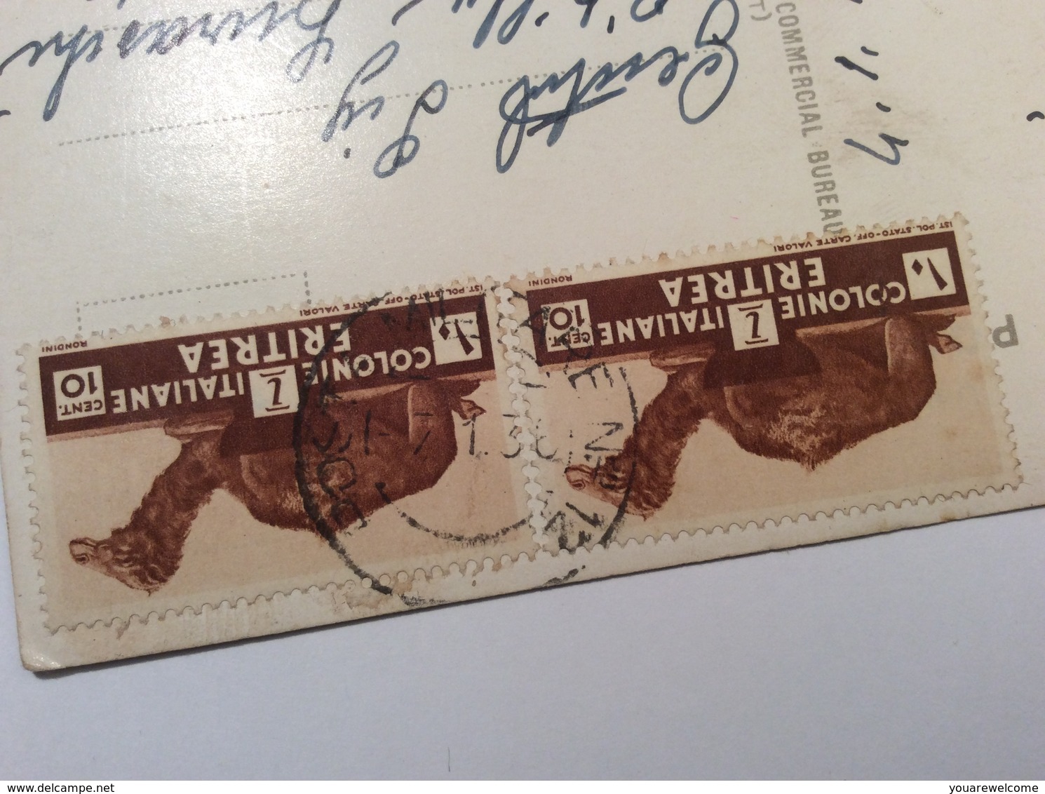 Eritrea POSTA MILITARE  NO 12 1936 Sa. 205 Cartolina Postale (lettera Cover Chameaux Camel - Eritrea