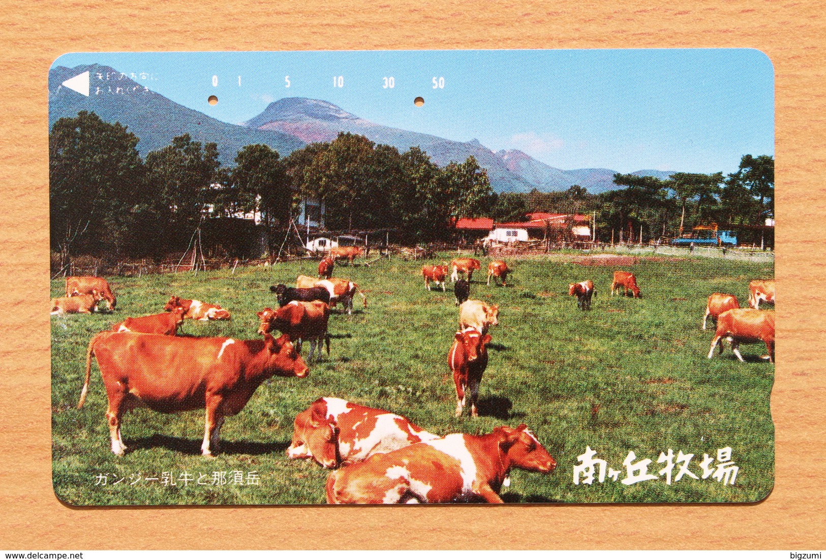Japon Japan Phonecard (C) / - Vaches