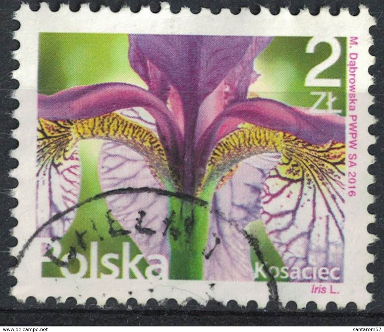 Pologne 2016 Oblitéré Used Fleurs Et Plantes Iris - Oblitérés