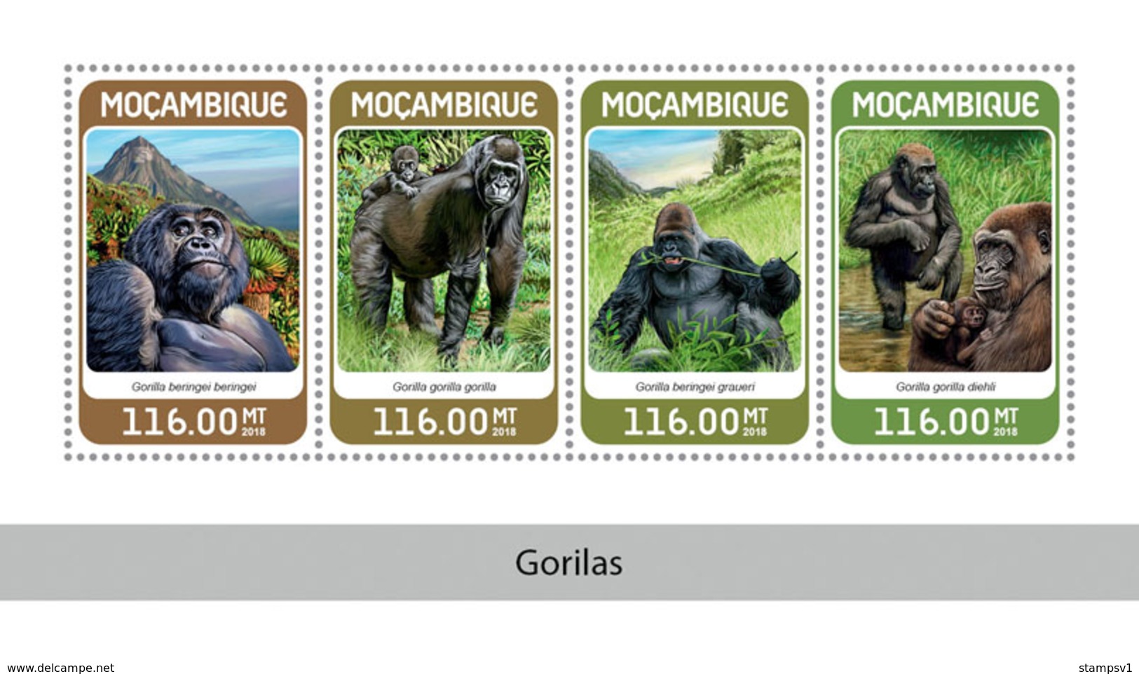 Mozambique. 2018 Gorillas. (324a) - Gorilas