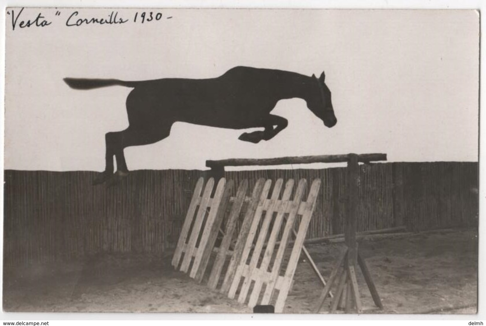 Carte Photo 66 Corneilla Del Vercol Hippisme Joseph Jonquères D'Oriola Courrier Vente Jument Vesta Duran Perpignan - Paardensport