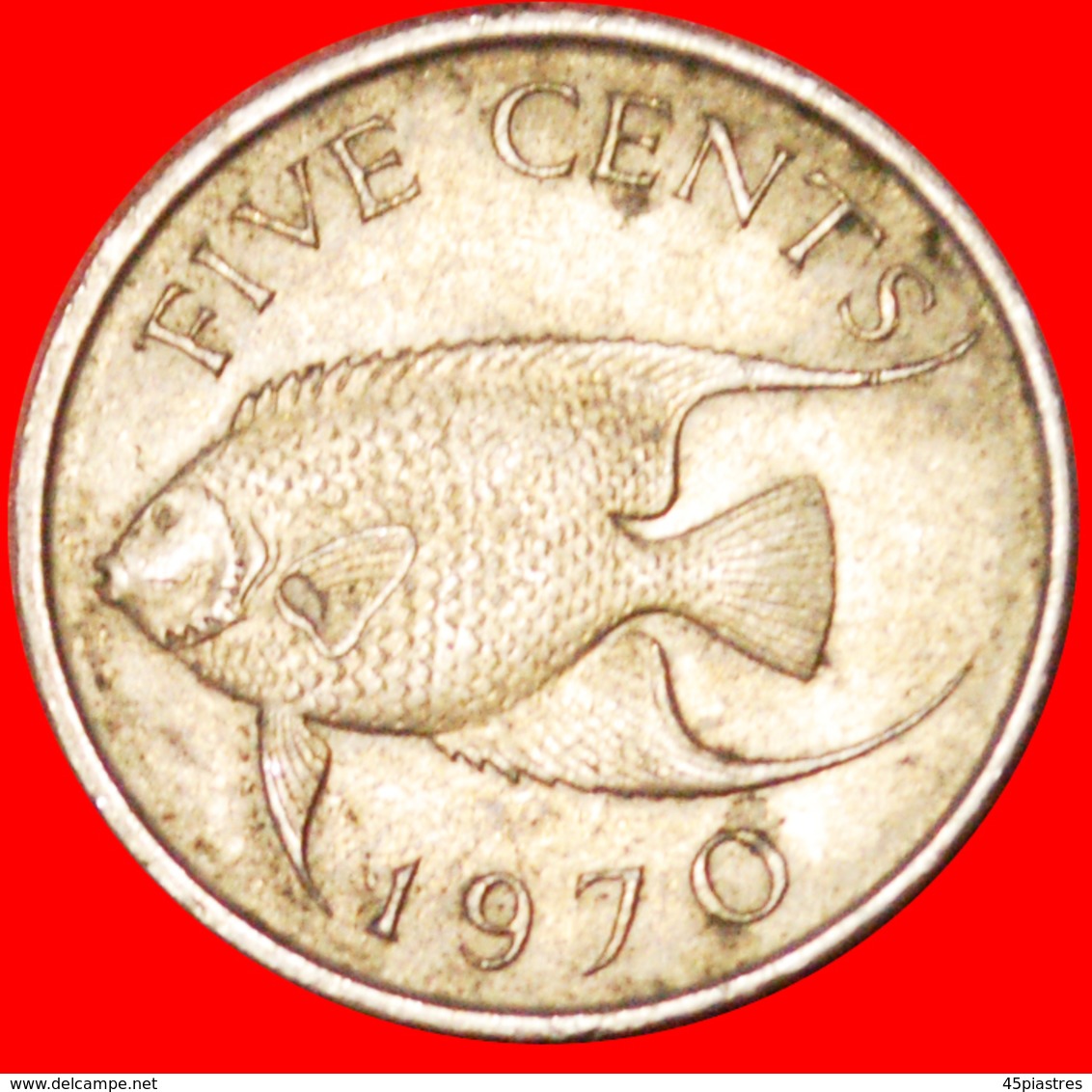 # FISH (1970-1985): BERMUDA ★ 5 CENTS 1970! LOW START ★ NO RESERVE! - Bermuda