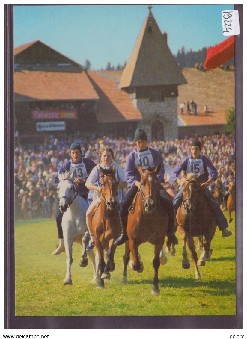 FORMAT 10x15cm - SAIGNELEGIER - CHEVAUX DES FRANCHES MONTAGNES - TB - Saignelégier