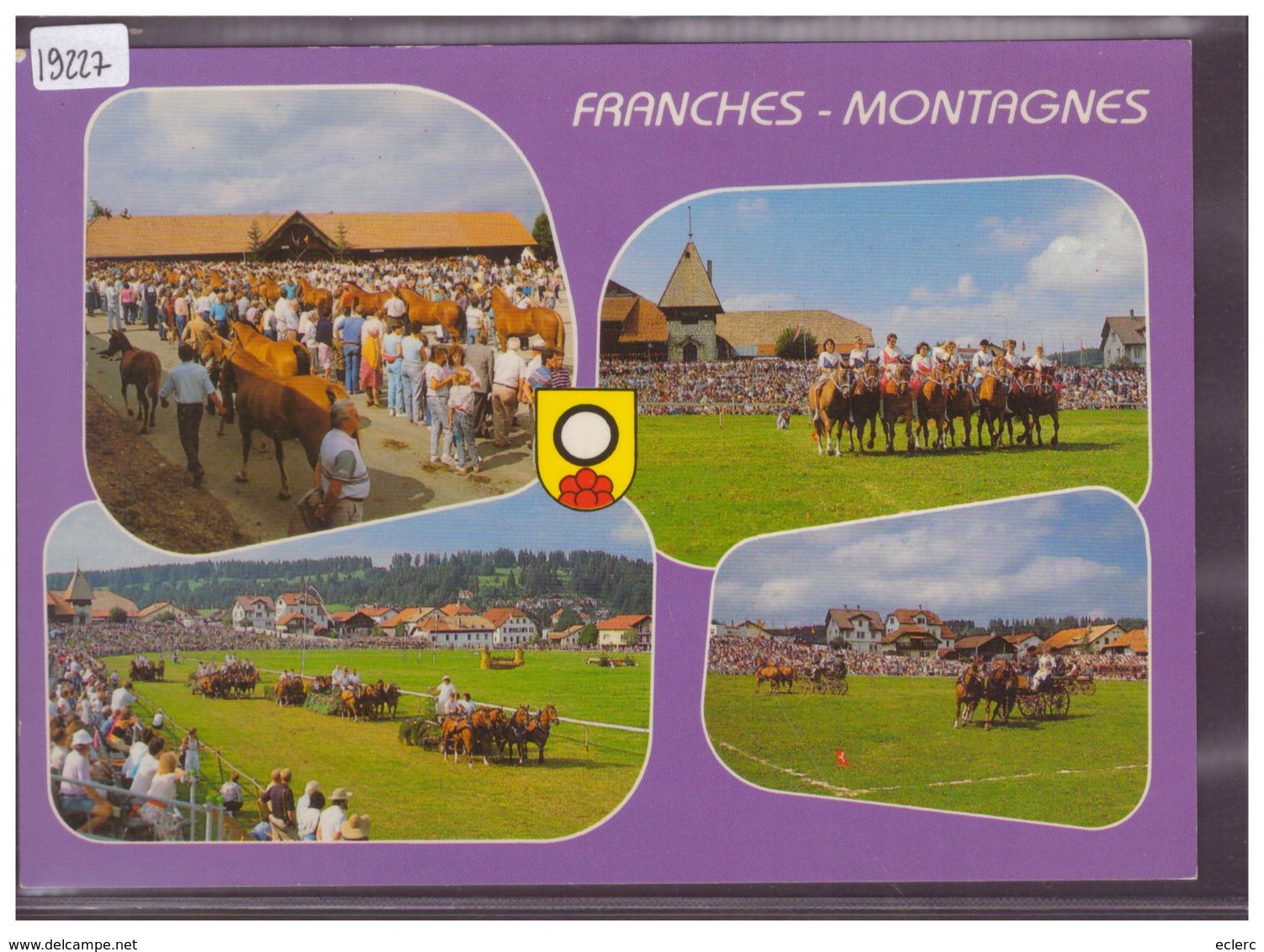 FORMAT 10x15cm - SAIGNELEGIER - CHEVAUX DES FRANCHES MONTAGNES - TB - Saignelégier