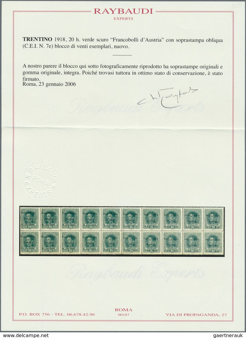 01009 Italienische Besetzung 1918/23 - Trentino: 1918, Stamp Of Austria, 20h Dark Green, With Overprint IN - Trento