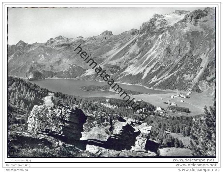 Sils Im Engadin - Blick Von Marmore Auf Silersee Und Piz Lagrev - Foto-AK Grossformat - Sils Im Engadin/Segl