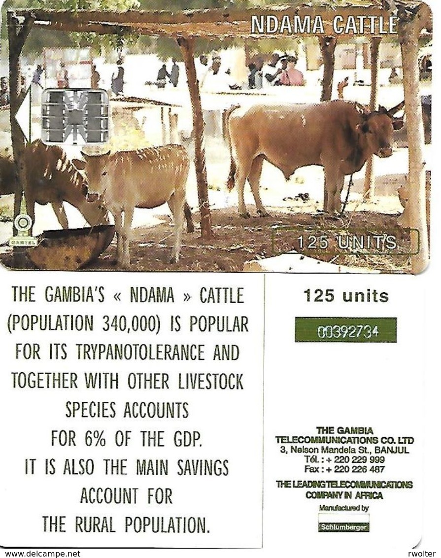 @+ Gambie - Vaches 125 Unités - Ancien Logo Schlumberger - Gambia