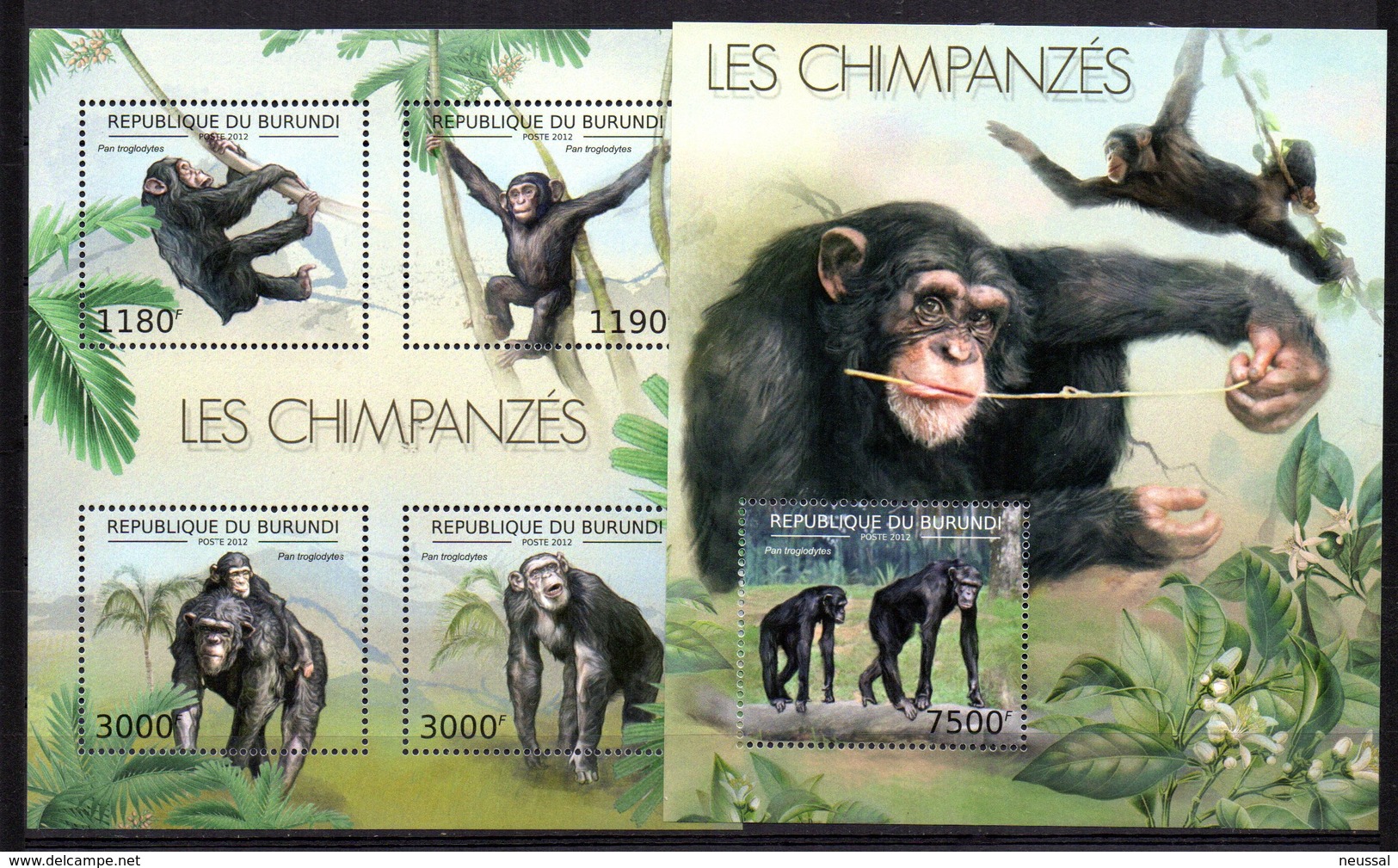 Serie De Chimpances  + Hb Chimpance  De Burundi 2012 - Schimpansen