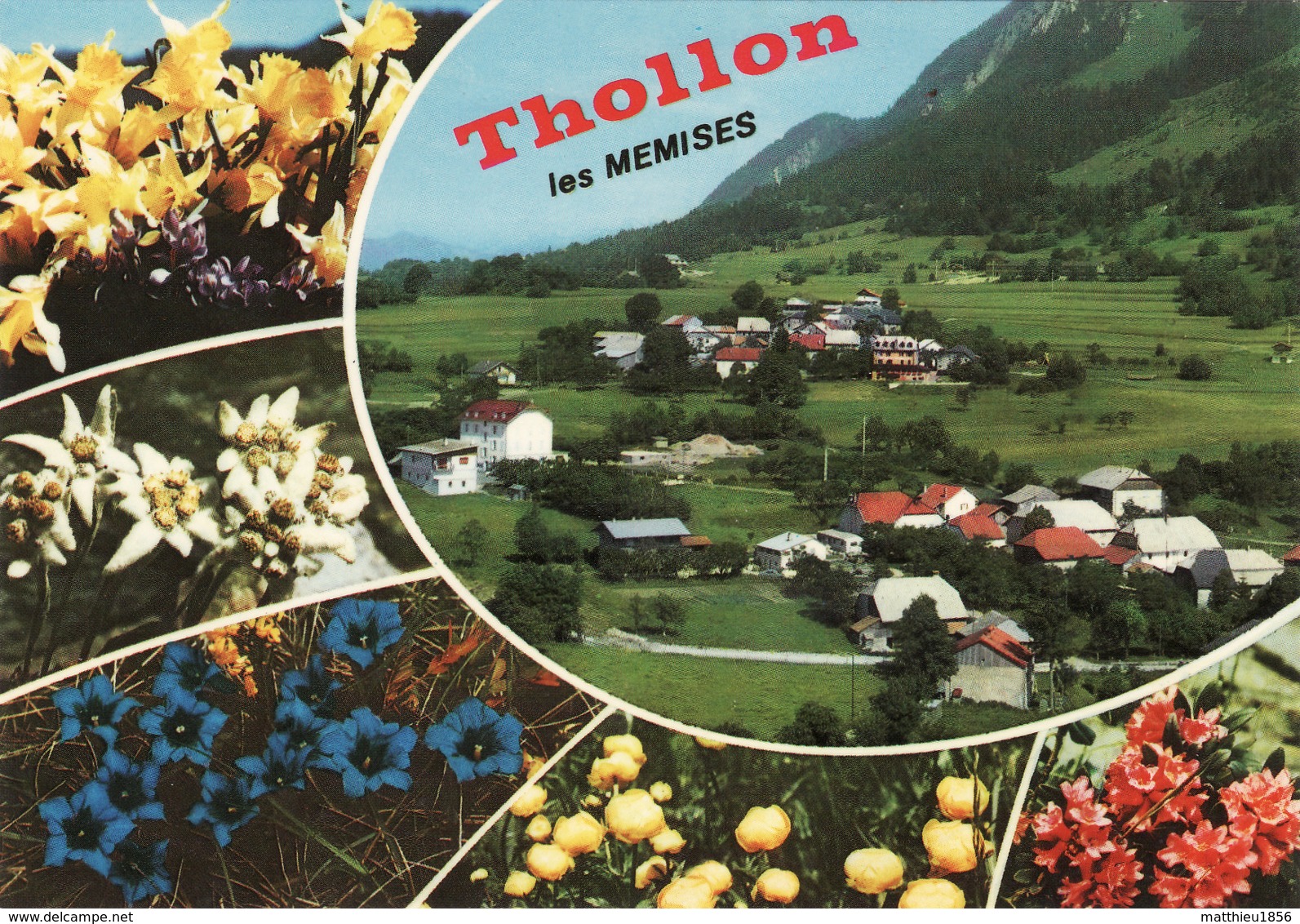 CPSM THOLLON-LES-MEMISES - Une Vue (A197) - Thollon