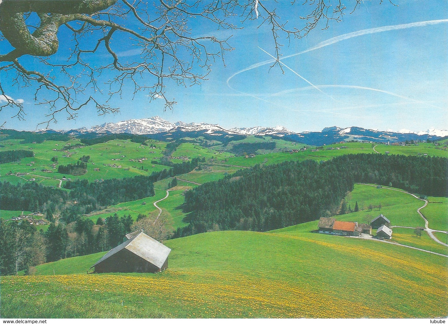 Mogelsberg - Hofstetten, Blick Auf Den Alpstein         Ca. 2000 - Mogelsberg