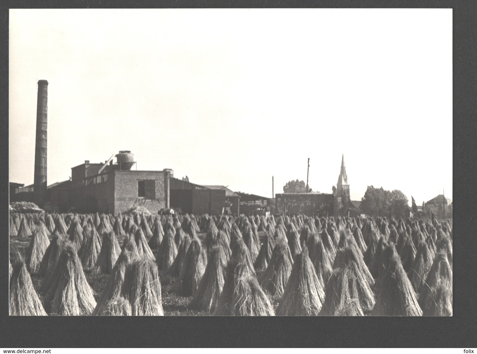 Kuurne - Vlas - Vlaschaard / Torréfaction Du Lin - Fotokaart - Nieuwstaat - Kuurne