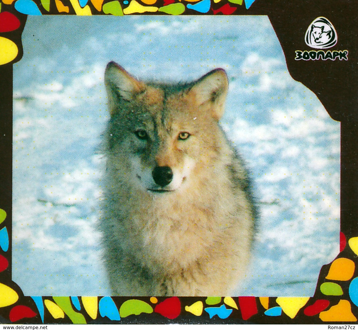 Zoo Izhevsk (RU) - Wolf - Tierwelt & Fauna