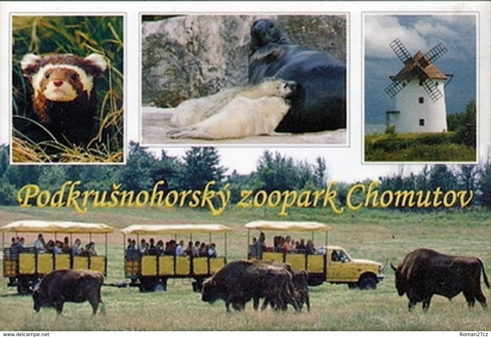 Zoopark Chomutov (CZ) - Marbled Polecat, Seal, Wisent, Mill - Tierwelt & Fauna