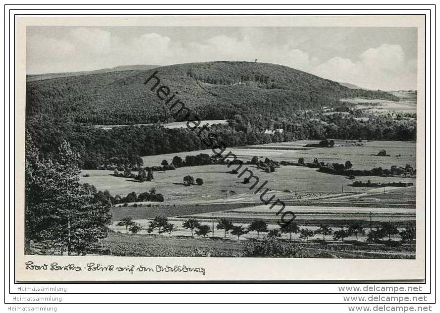 Bad Berka - Blick Auf Den Adelsberg - Bad Berka